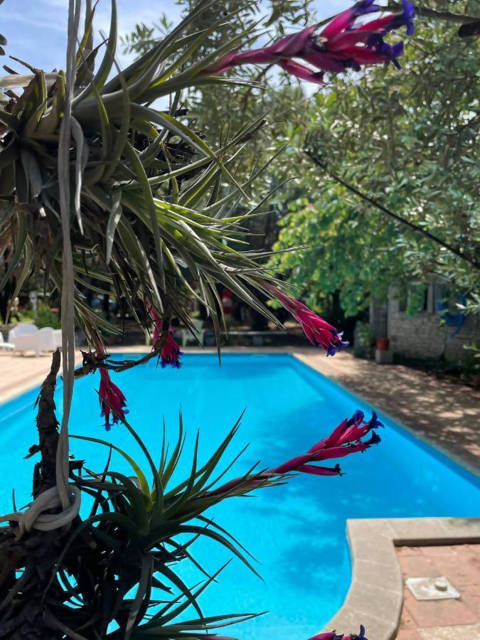 Loft Mansardato Con Giardino E Piscina In Villa Privata Loft With Garden And Swimming Pool In A Private Villa Сесту Экстерьер фото