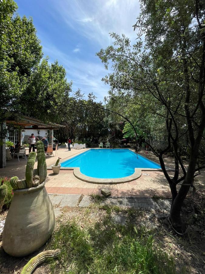 Loft Mansardato Con Giardino E Piscina In Villa Privata Loft With Garden And Swimming Pool In A Private Villa Сесту Экстерьер фото